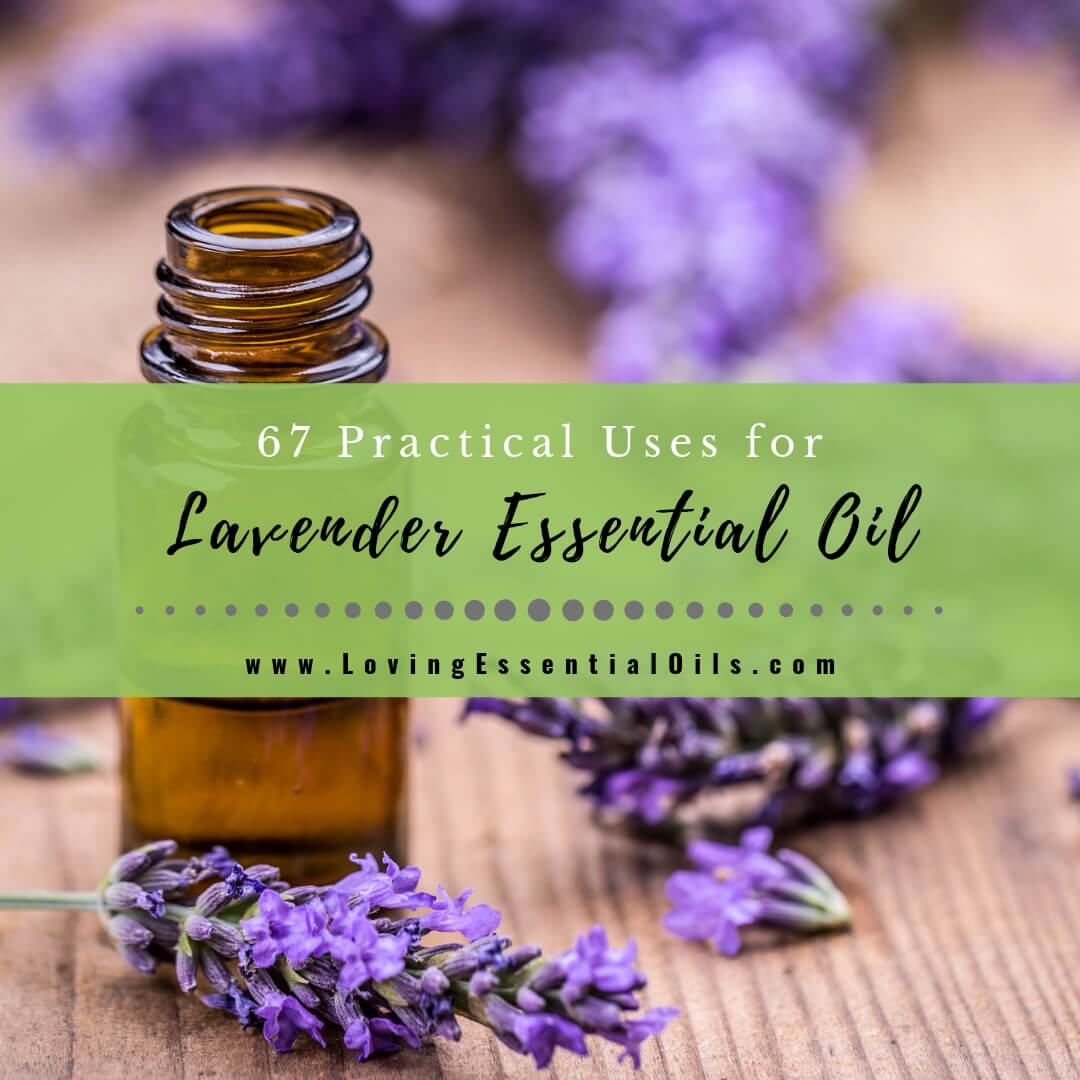 67 Uses for Lavender Essential Oil with DIY Blend Recipes